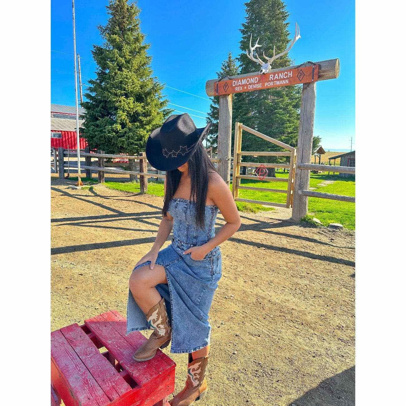VCC0074 Studded Star Brim Felt Cowboy Hat